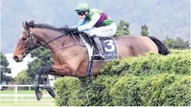  ?? PHOTO: PETER RUBERY RACE IMAGES ?? Gem of a horse . . . Shaun Fannin has a high opinion of The Big Opal, his mount in the Pakuranga Hunt Cup at Te Aroha tomorrow.