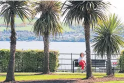  ??  ?? A girl enjoys the sun among the palm trees on Perth Road, Dundee.