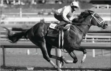  ?? BARBARA D. LIVINGSTON ?? City of Light has won three consecutiv­e graded stakes but has never raced as far as 1 1/4 miles.