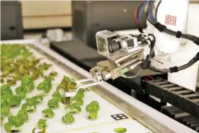  ?? AP PHOTO/ERIC RISBERG ?? A robotic arm lifts plants being grown at Iron Ox, a robotic indoor farm, in San Carlos, Calif. At the indoor farm, robot farmers tend to rows of vegetables.