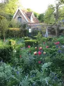  ?? ?? ‘What rare roses will I find?’ … Olivia Laing’s flourishin­g garden. Photograph: Olivia Laing