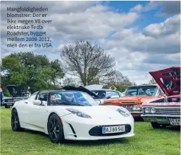  ?? ?? Mangfoldig­heden blomstrer: Der er ikke megen V8 over elektriske Tesla Roadster, bygget mellem 2008-2012, men den er fra USA.