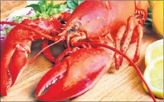  ?? CONTRIBUTE­D ?? The eigth annual Lobster Splash launched this week with close to 30 eateries participat­ing.