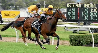  ?? RACE IMAGES ?? Tavi Mac on his way to winning the Group II Manawatu Challenge Stakes (1400m) at Awapuni. Tavi Mac will be hoping to take out the Telegraph at Trentham today.