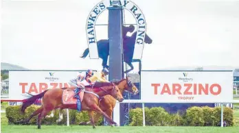  ?? Photo / Ian Cooper ?? Callsign Mav (inside and nearest the post) wins the Tarzino Trophy race in the John Bary stable Stead family colours made famous in Sasanof’s 1916 win in the Melbourne Cup.