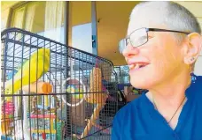  ?? Photo / Wendy Belworthy ?? The lone isolator: Wendy Belworthy at her home in Rotorua with Meemee the budgie.