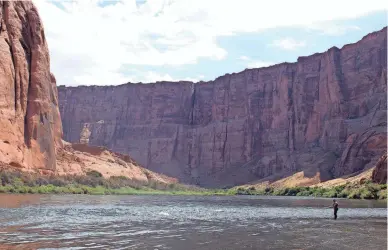  ?? PHOTOS BY JAKE FREDERICO/THE REPUBLIC ?? Nathan Rees, of Trout Unlimited, fly fishes in the Colorado River near Lees Ferry.