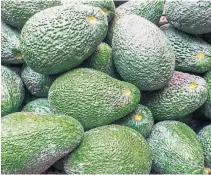  ??  ?? The average American eats eight pounds of avocado a year, compared with Mexico’s 20 pounds.