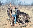  ??  ?? Tess Thompson Talley, the US big game hunter, after shooting the black giraffe
