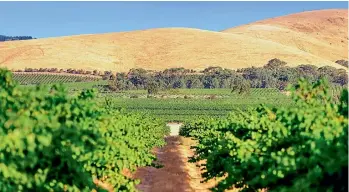  ??  ?? The Barossa Valley, one of Australia’s most famous wine regions, is 56km north-east of Adelaide.