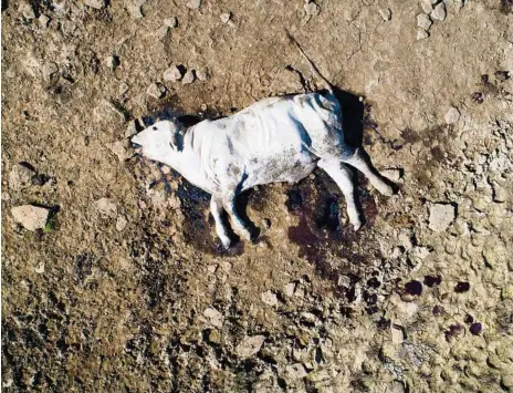  ?? PHOTO: NIGEL HALLETT ?? IN FOCUS: A major review into the Northwest Queensland flooding catastroph­e is under way.