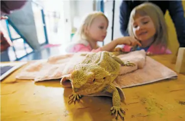  ??  ?? ABOVE: Sisters Eva Christy, 4, and Zoe Christy, 6, pet a bearded dragon named Smaug at the Santa Fe Children’s Museum while visiting Wednesday from Monte Vista, Colo.