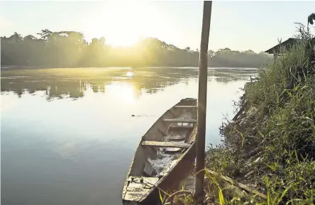  ?? BEN C. SOLOMON/ THE NEW YORK TIMES ?? For decades, Amadeo’s dwindling tribe hid from the world on one of the tributarie­s of the Tigre River.