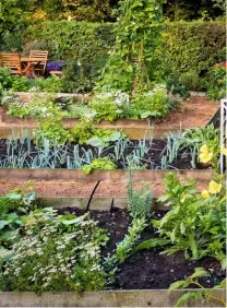  ??  ?? The timber-edged beds of the kitchen garden, split by sawdust paths.