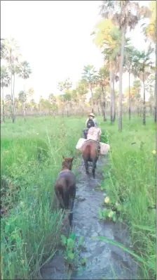  ??  ?? A caballo, sorteando las aguadas, para cumplir con la vacunación. En este período el trabajo fue difícil, indicaron.