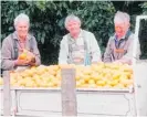  ??  ?? The Katikati Lions Citrus Appeal saw large quantities of fruit sent to some Wellington clubs for distributi­on to those in need.