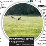  ?? FOTO: MOSTPHOTOS ?? MORGONRUND­A. Spring i Hagaparken.