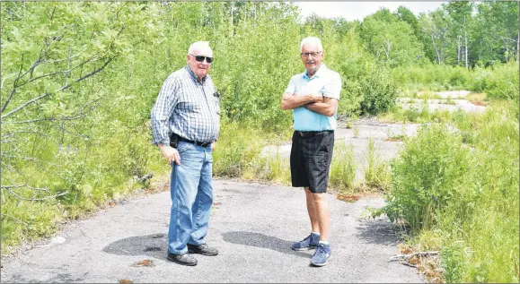  ?? KEVIN ADSHADE/THE NEWS ?? Bob MacLean, at left, and Bob Allen at the old Mountain Raceway.