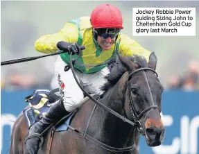  ??  ?? Jockey Robbie Power guiding Sizing John to Cheltenham Gold Cup glory last March