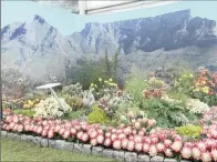  ??  ?? WINNING DESIGN: The City of Cape Town’s award-winning exhibit at Chelsea this year. Created by a top team from the parks department, this display, themed The Wonders of Cape Town, is set against the backdrop of Table Mountain and showcases fynbos...