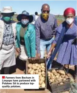  ?? ?? Farmers from Bochum in Limpopo have partnered with Potatoes SA to produce topquality potatoes.