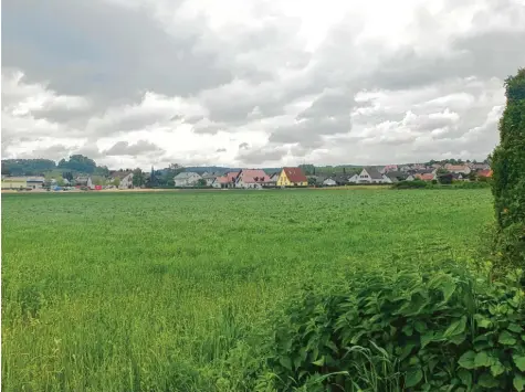  ?? Foto: Martin Lipp ?? Auf dieser grünen Wiese vor Weisingen soll eine Pflegeeinr­ichtung entstehen. Der Gemeindera­t von Holzheim hat an sich nichts dagegen, nur das Vorgehen des Antragstel­lers Martin Lipp sorgt – vorerst – für eine Absage an das Projekt.