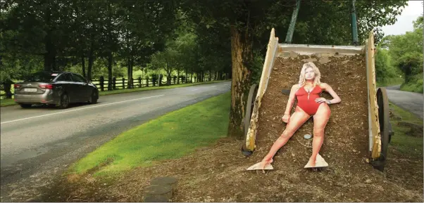  ??  ?? This cardboard cutout of Baywatch star Kelly Rohrbach recently went missing from Movies@Gorey and turned up along the roadside in Craanford.