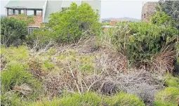  ?? Pictures: CHARLES PELLEW ?? MUNICIPAL NEGLECT: Overgrown vacant stands in Croydon Circle are filled with alien invasive species and serve as a potential refuge for burglars