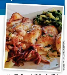  ?? ?? Island life: The port of Sali on Dugi Otok and, inset, local delicacy grilled squid