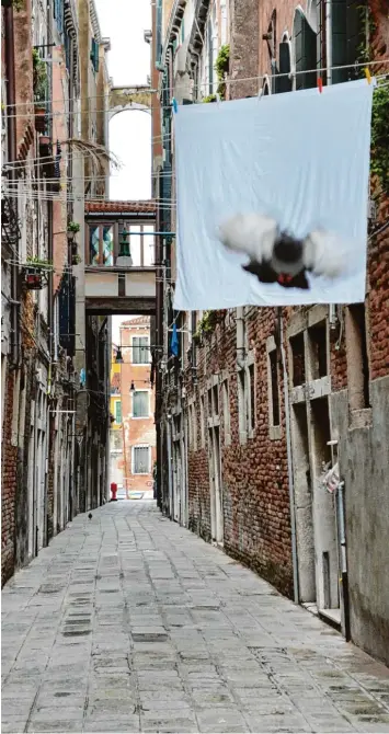  ??  ?? Es gibt sie auch einzeln in Venedig: fliegende Taube vor Bettlaken Leinwand in einer Gasse im Viertel Cannaregio.