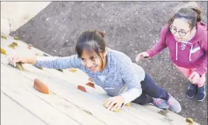  ?? Tyler Sizemore / Hearst Connecticu­t Media file photo ?? Greenwich Girl Scouts will kick off the new year with a Camporee at Camp Seton Scout Reservatio­n.