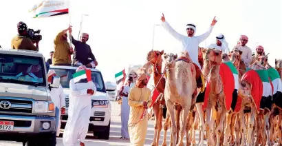  ?? AFP ?? Camel beauty contest was a key attraction of Al Dhafra Festival, which witnessed participat­ion of over 2,000 camel owners. —