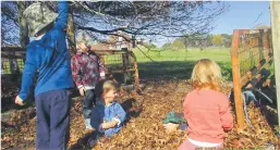  ??  ?? Playing in the autumn leaves. PHOTOS: Supplied.