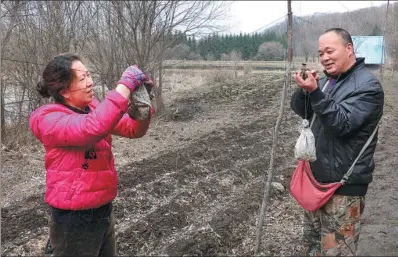  ?? PHOTOS PROVIDED TO CHINA DAILY ?? Wu Wei and his wife, Sun Shuhong, remove birds trapped in a net on Mao’er Mountain.