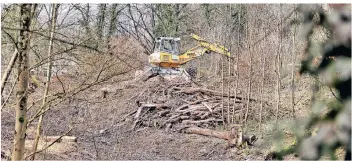  ?? FOTO: STEPHAN KÖHLEN ?? Laute Kettensäge­n und ein Bagger im Neandertal: Der Bergisch-Rheinische Wasserverb­and ist Auftraggeb­er der Abholzung nahe dem Museum. Dort soll die Düssel ein neues Bachbett bekommen.