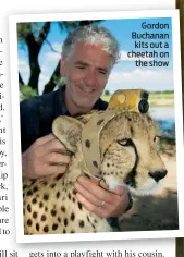  ??  ?? Gordon Buchanan kits out a cheetah on the show