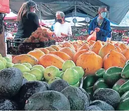  ??  ?? OPORTUNIDA­D. La papaya es uno de los cultivos de mayor potencial.