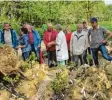  ?? Foto: Schweighof­er/Landratsam­t ?? Für trockenhei­tsliebende Pflanzen ist das neue Alpinum im Mustergart­en ein Dorado.