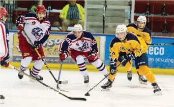  ?? —archives ?? The Hawks won their last two games, putting up 15 goals combined. They beat the Nepean Raiders 8-2 last Wednesday and beat the Kanata Lasers 7-5 on Friday. The Hawks will take on the Ottawa Junior Senators on Friday, February 8 and the Brockville Braves next Saturday.