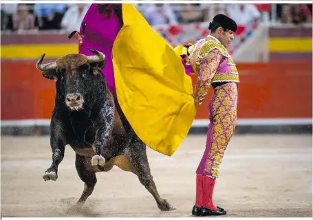  ??  ?? Ein Torero bei der bislang letzten Corrida in Palma 2017. Stierkämpf­er sind Stars und verdienen pro Auftritt teils Zehntausen­de Euro