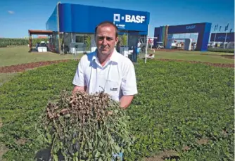  ??  ?? El debut. El maní se sembró por primera vez en Expoagro, con Basf. Lo muestra Juan Pérez Brea.