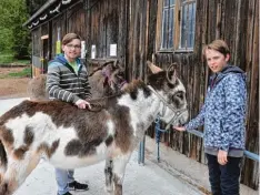  ?? Foto: Andreas Lode ?? Mit dem Witty Förderprei­s wurde das Kinderheim Reitenbuch für die Tiertherap­ie mit Eseln ausgezeich­net: (von links) Julian und Marvin mit Nikolaus.