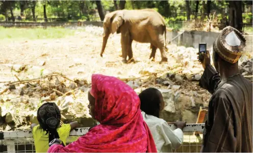  ??  ?? Onlookers at the elephant section of the zoo