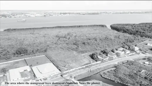  ??  ?? The area where the mangroves were destroyed (Stabroek News file photo)