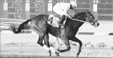  ?? C OADY PHOTOGRAPH­Y ?? Conquest Mo Money comes into the Sunland Derby after winning both local stakes preps.