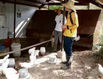  ?? LINDA B. BOLIDO ?? GROUP leaders Nico Ignacio and Justin San Juan explain how they produce chemical-free chicken eggs.