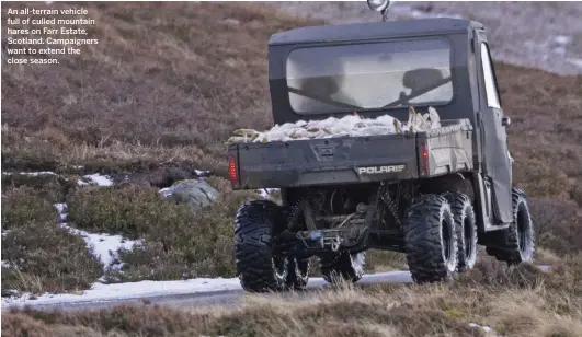  ??  ?? An all-terrain vehicle full of culled mountain hares on Farr Estate, Scotland. Campaigner­s want to extend the close season.