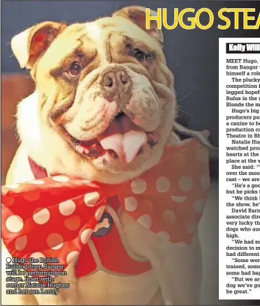  ??  ?? Hugo the British Bulldog from Bangor will be performing on stage. Inset with owner Natalie Hughes and her son Lenny