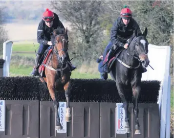  ?? Pictures: Mark Watkins ?? Coolanly (Paddy Brennan) and De Name Evades Me on the new schooling strip