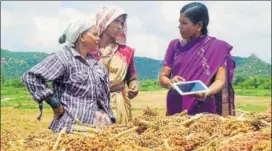  ?? HT PHOTO ?? Dr Mamta Sharma with her team conducting experiment­s in a laboratory at ICRISAT headquarte­rs in Hyderabad